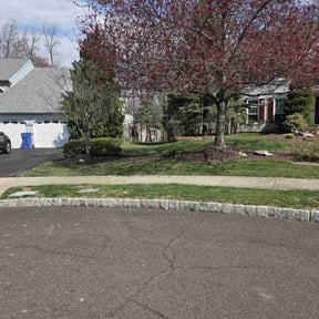 landscaping services by Collins Professional Landscape reviewed on August 17, 2025
