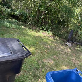 lawn maintenance by Chai reviewed on June 27, 2022