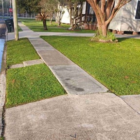 lawn service by Steven Pickney reviewed on April 9, 2025