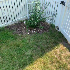 Bush Trimming by Donald Austile Lawn Care reviewed on August 17, 2025