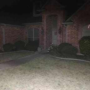 Bush Trimming by Ace lawn care reviewed on December 2, 2025