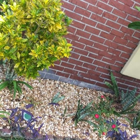 Flower Bed Weeding by NKY Lawn Barber reviewed on August 18, 2025