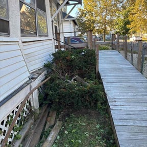 Bush Trimming by Perry’s Landscaping LLC reviewed on December 12, 2025