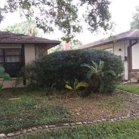 Bush Trimming by Schuetz Landscaping Services reviewed on August 20, 2025