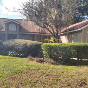 Bush Trimming by Ramos Landscaping reviewed on October 20, 2025