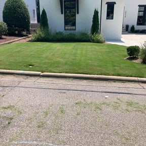 lawn service by Tim King reviewed on October 29, 2024
