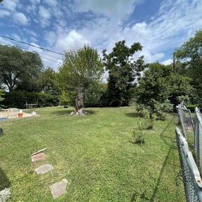 landscaping by S&W Lawn and Housing LLC reviewed on August 15, 2025