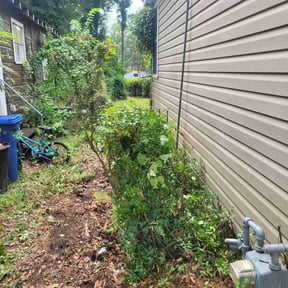 Bush Trimming by Level Cut reviewed on October 24, 2025