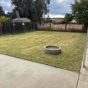 turf maintenance by Aragon Lawn Care Services reviewed on February 20, 2025