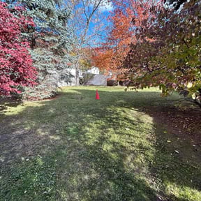 Leaf Removal by Achieving the dream llc reviewed on November 20, 2025