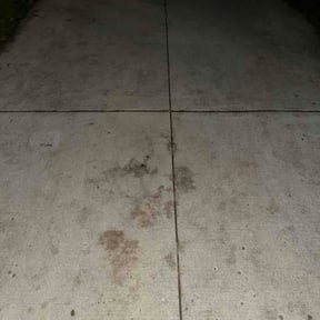 Leaf Removal by Abel Baeza reviewed on June 2, 2026