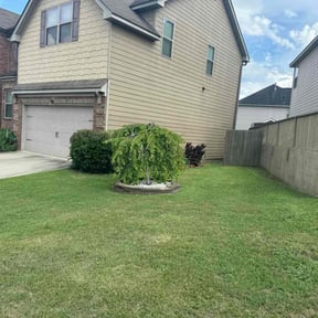 yard care by Eagle Lawn Care reviewed on August 21, 2025