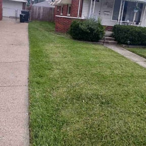 lawn service by alex lawnservice llc reviewed on August 20, 2023