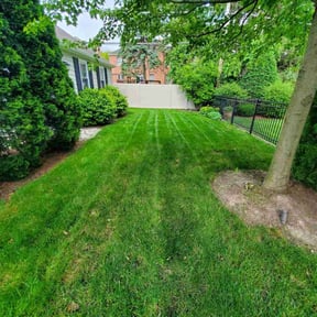 yard maintenance by Mark Cowper Lawn and Landscape Maintenance reviewed on August 17, 2025