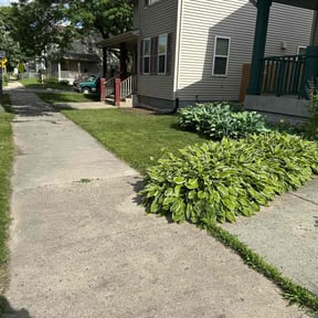 yard care by ADG Lawncare Services, LLC reviewed on August 19, 2025