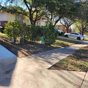 Leaf Removal by Belmontes Landscape LLC reviewed on March 16, 2026