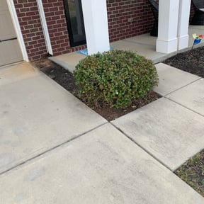 Bush Trimming by Roldan Lawn Services LLC reviewed on August 20, 2025