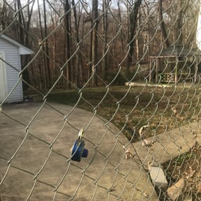 Leaf Removal by 2 Natives Hands Landscaping reviewed on August 20, 2025