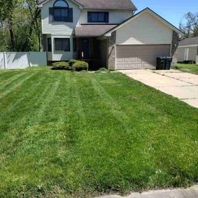 residential landscaping by V.i..y Lawn care services reviewed on June 27, 2025