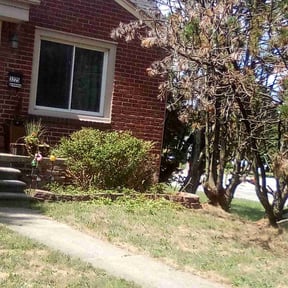 Bush Trimming by Greene Family Lawncare reviewed on December 7, 2025