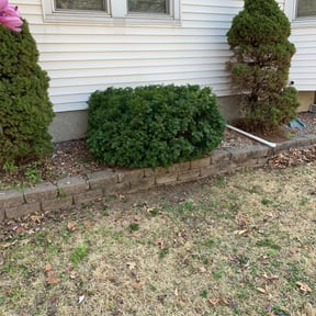 Bush Trimming by Orange County Lawn Care reviewed on August 15, 2025