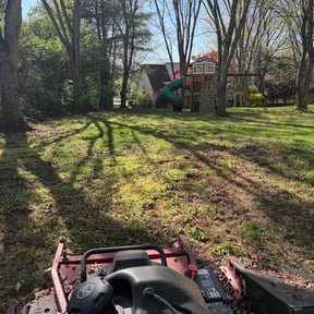 Leaf Removal by Landscaping reviewed on June 23, 2026