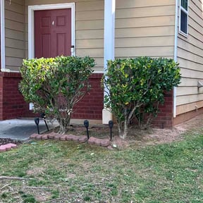 Bush Trimming by K &amp; D Lawn Services reviewed on June 3, 2026
