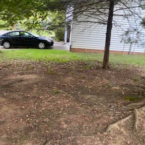 Leaf Removal by All About Grass reviewed on June 1, 2026