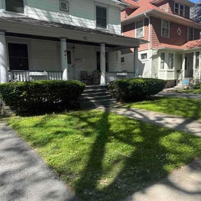 Bush Trimming by Daddy daughter lawn care and handyman services reviewed on June 4, 2026