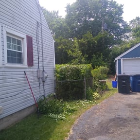 Bush Trimming by JA All purpose property management reviewed on August 19, 2025