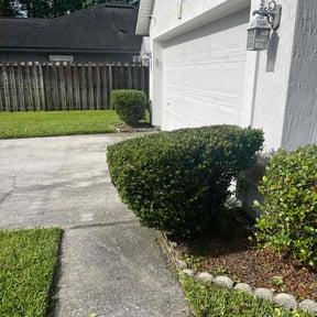 Bush Trimming by TruGreen LawnCare reviewed on August 7, 2025