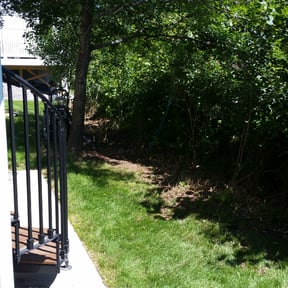 Bush Trimming by Quality &amp; Royalty Network Solutions reviewed on July 14, 2020