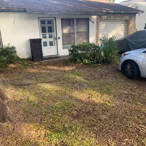 Bush Trimming by George's Lawn Care reviewed on August 20, 2025