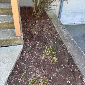 Flower Bed Weeding by Lord of the Lawns reviewed on August 25, 2026