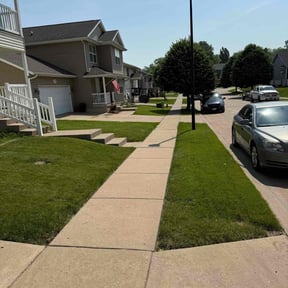 landscape maintenance by Oceania Solutions LLC reviewed on September 7, 2025