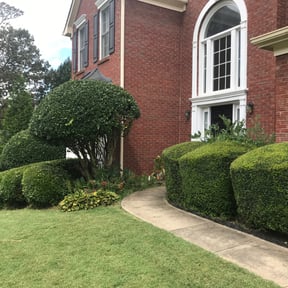 Bush Trimming by Barrett trimmings reviewed on August 21, 2025