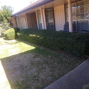 Bush Trimming by Simple Solution Home Services LLC reviewed on August 19, 2025