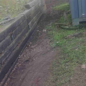 Leaf Removal by J. Bryant Trading Company reviewed on September 12, 2025