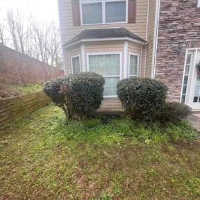 Bush Trimming by CadeAndKids LLC reviewed on March 8, 2026