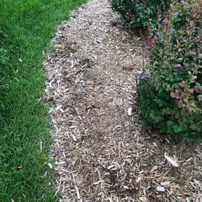 Flower Bed Weeding by Dem Boyz N Girlz Lawn Services reviewed on May 30, 2025