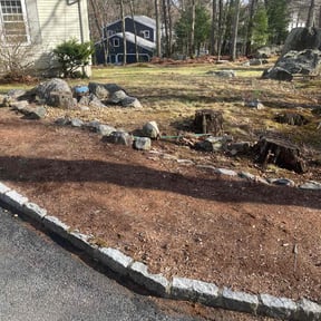 Leaf Removal by Lewis reviewed on August 20, 2025