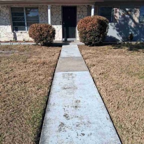 Bush Trimming by Dan's Lawn &amp; Landscaping reviewed on February 10, 2026