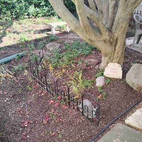 Leaf Removal by Solis Landscaping  &amp; Maintenance LLC reviewed on November 19, 2025