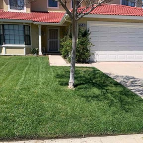 yard care by Mark Cowper reviewed on October 26, 2022