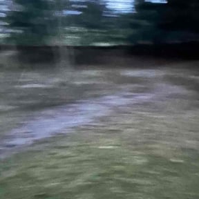 Leaf Removal by Meridian Management Group LLC reviewed on November 26, 2025