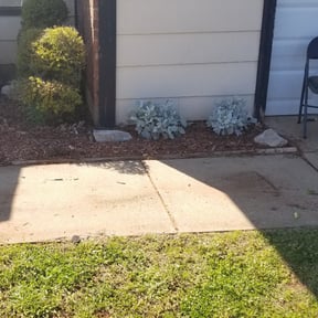 Flower Bed Weeding by Blue Diamond Cleaning Services reviewed on August 20, 2025