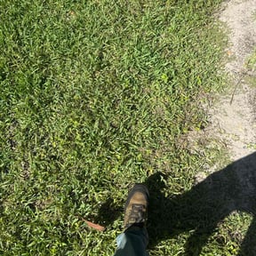 Bush Trimming by Jeremiah Lawn Care reviewed on October 24, 2025