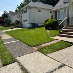 lawn service by Felo Pride lawn services reviewed on August 15, 2025