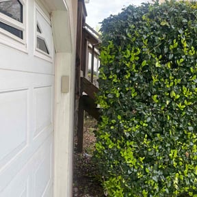 Bush Trimming by Chaplin Lawncare reviewed on August 15, 2025