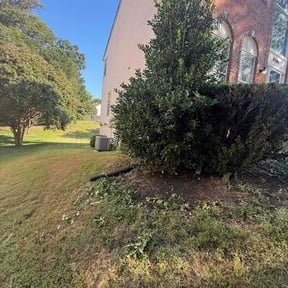 Bush Trimming by 5 J's Lawn Care Service reviewed on November 20, 2025